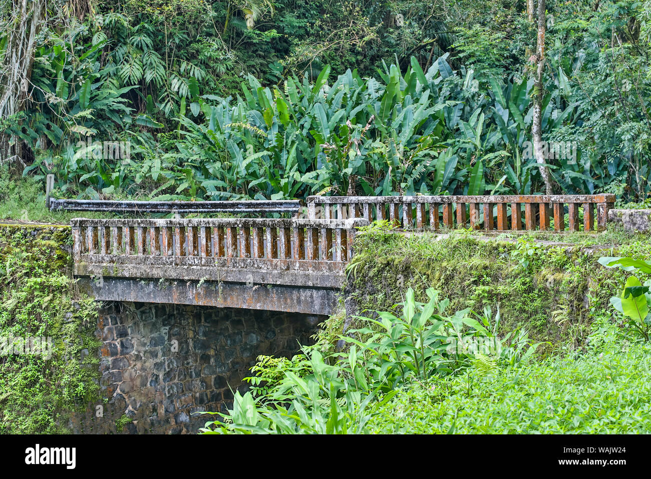 L'un des 59 ponts sur la route de Hana, Maui, Hawaii. Banque D'Images