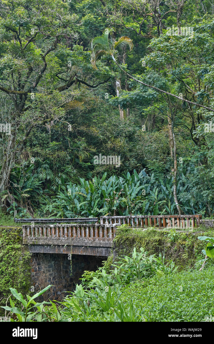 L'un des 59 ponts sur la route de Hana, Maui, Hawaii. Banque D'Images