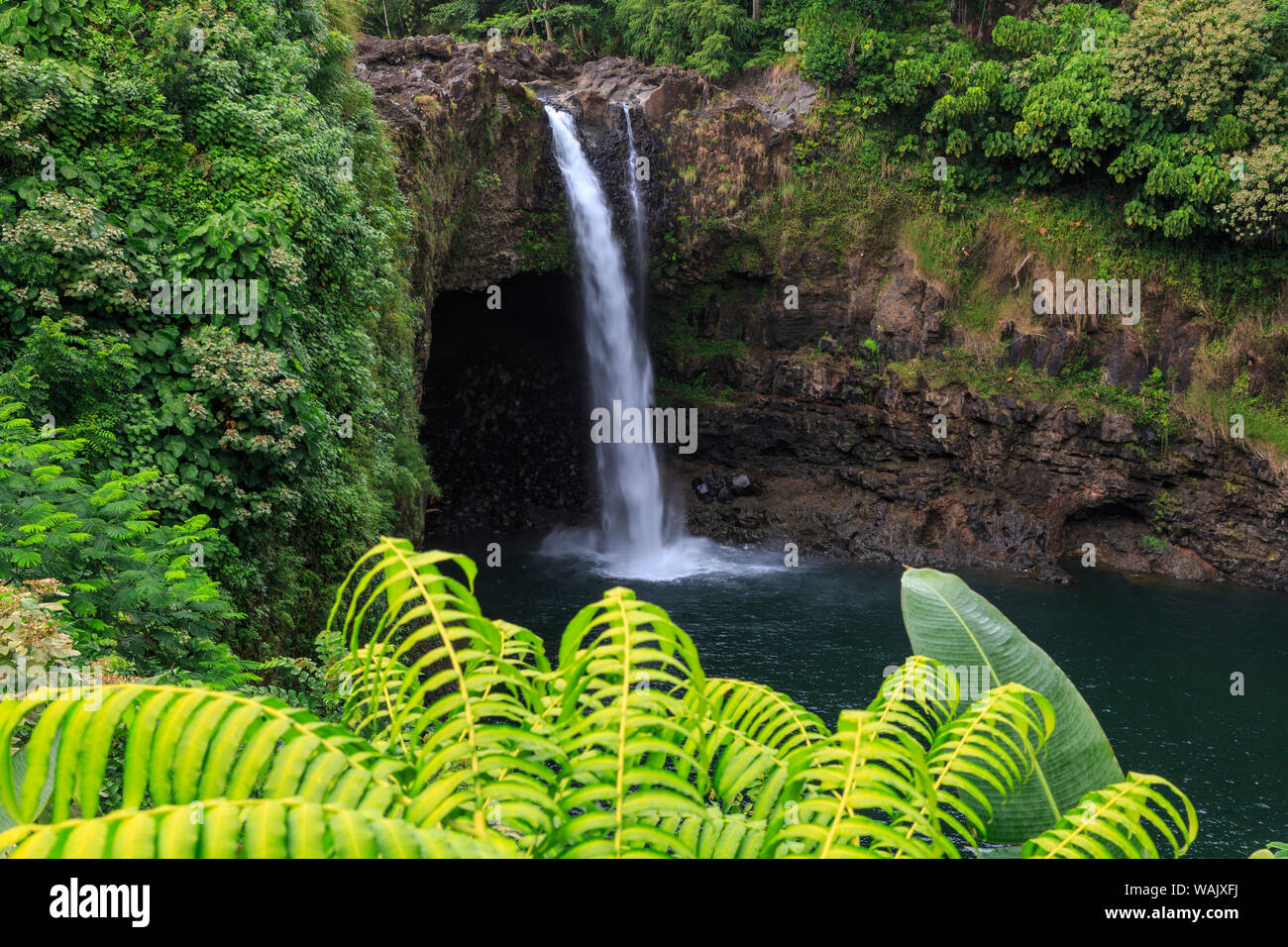 Rainbow Falls (80 m de chute), Wailuku River State Park Hilo, Big Island, Hawaii, USA Banque D'Images