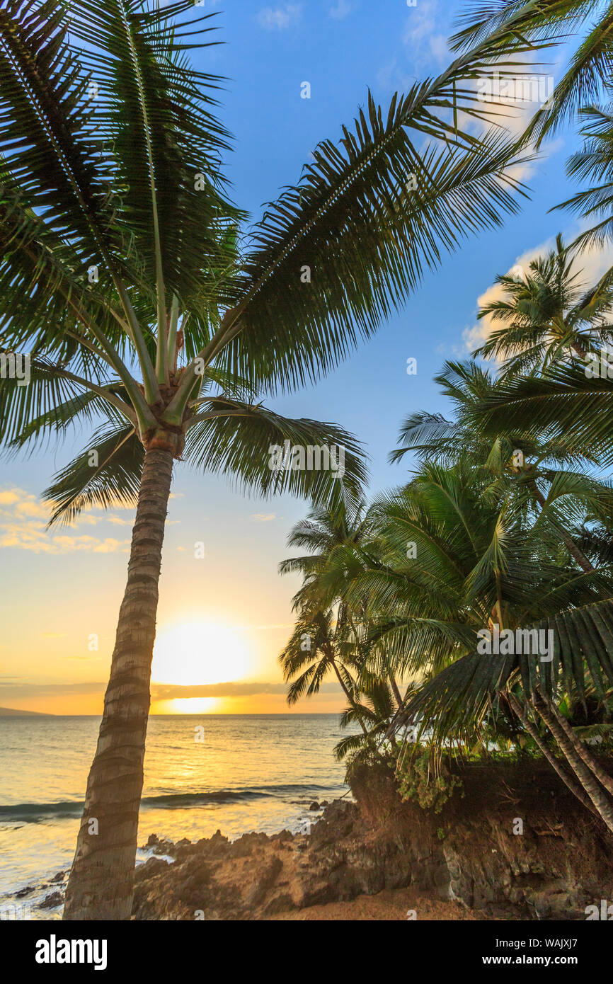 Coucher du soleil à plage près de Wailea, Maui, Hawaii, USA Banque D'Images