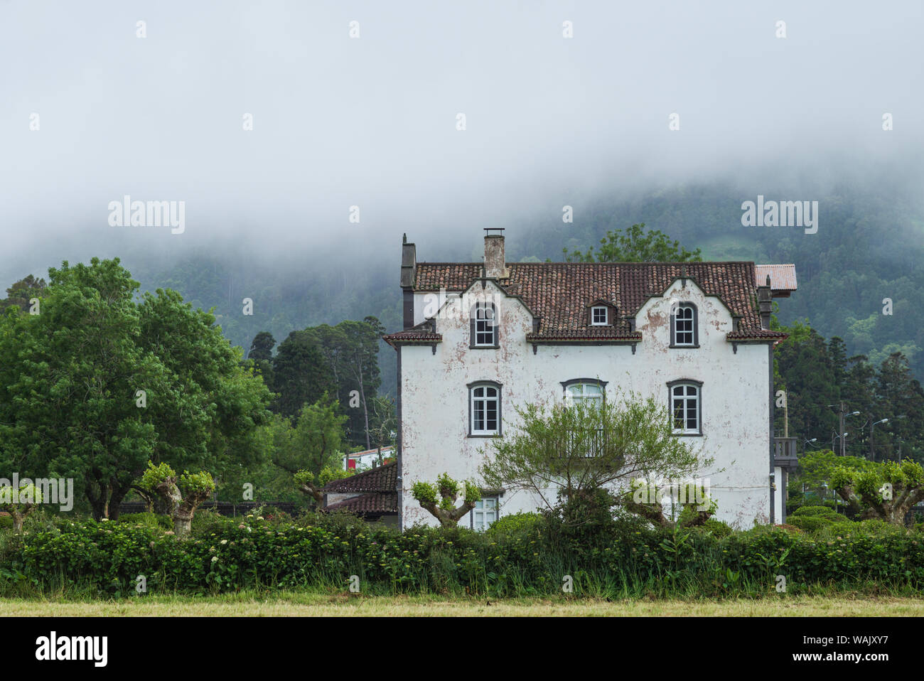 Le Portugal, Azores, Sao Miguel Island, Sete Cidades. Chambre dans le brouillard Banque D'Images