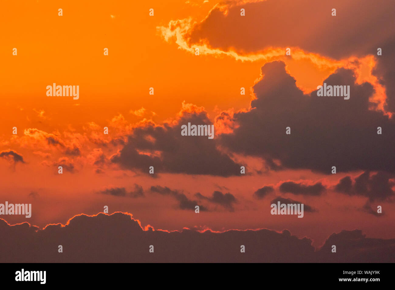 USA, Louisiane, Réserve faunique nationale de l'Atchafalaya. Lever du soleil les nuages. En tant que crédit : Cathy et Gordon Illg / Jaynes Gallery / DanitaDelimont.com Banque D'Images