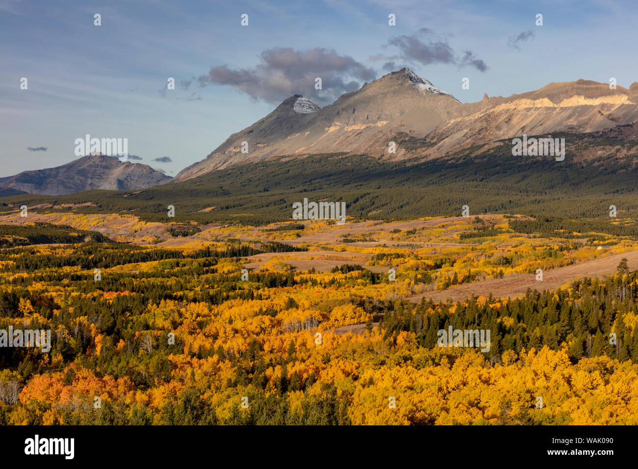 La couleur de l'automne pointe à Marias Pass dans le Glacier National Park, Montana, USA Banque D'Images