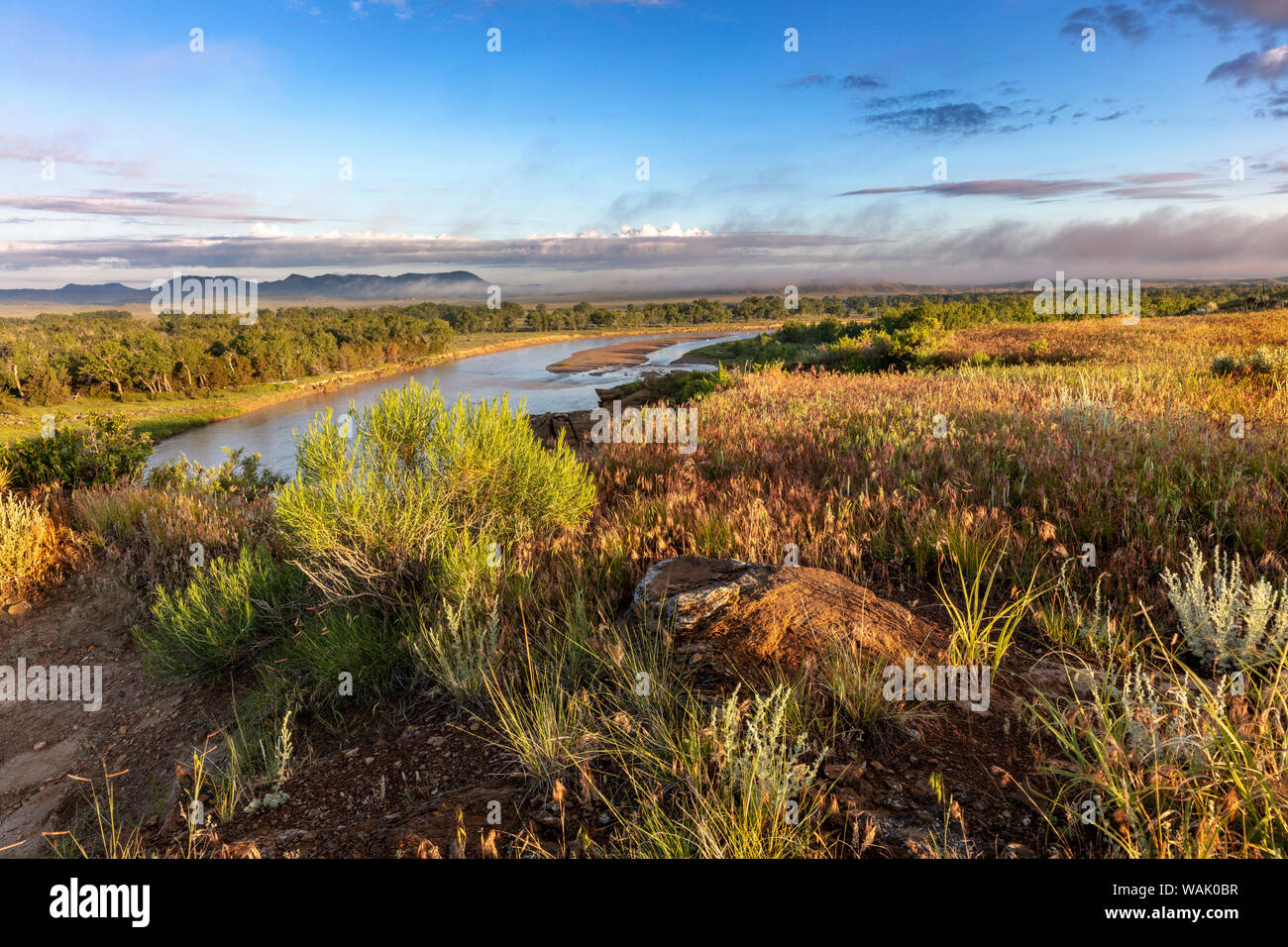 La Powder River dans le comté de Custer, Montana, USA Banque D'Images