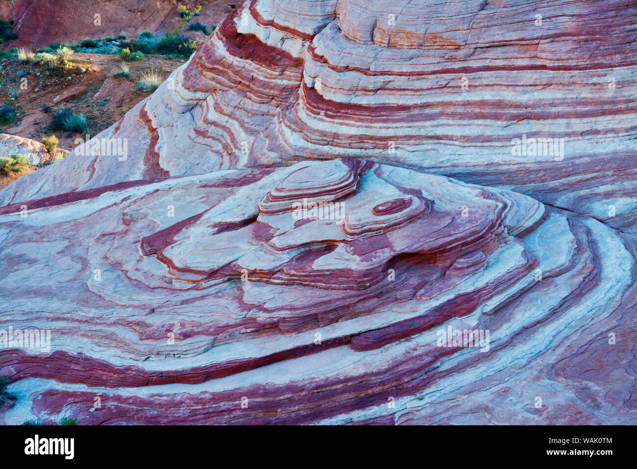 Close-up, incendie, sentier vague Valley of Fire State Park, Nevada, USA. Banque D'Images