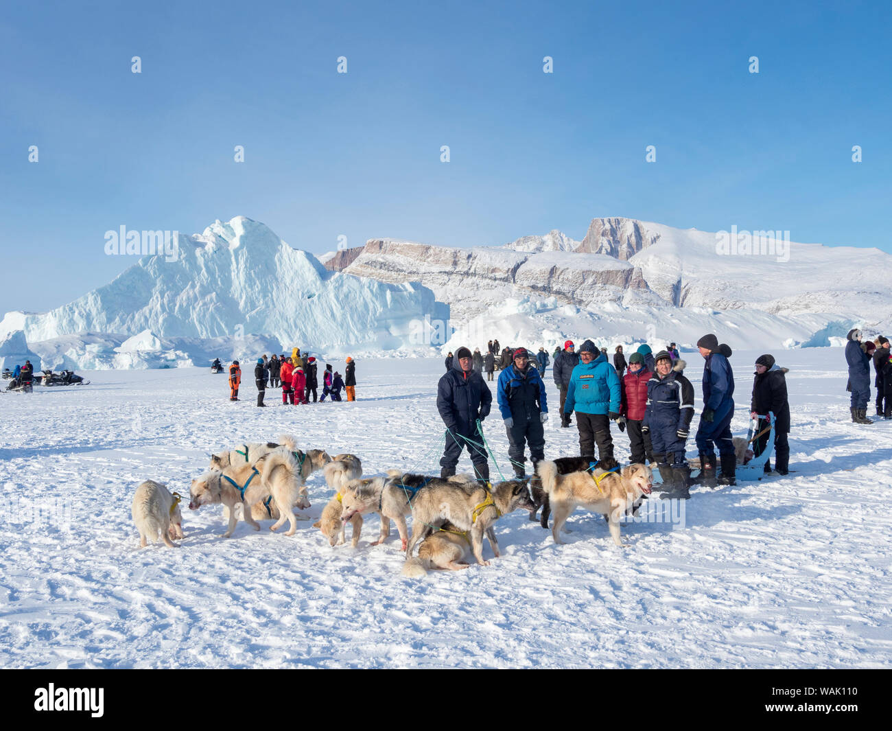 Après la course de chiens de traîneau sur le fjord gelé, Saatut près d'Uummannaq. Qualification pour le championnat du Groenland en 2018. (Usage éditorial uniquement) Banque D'Images