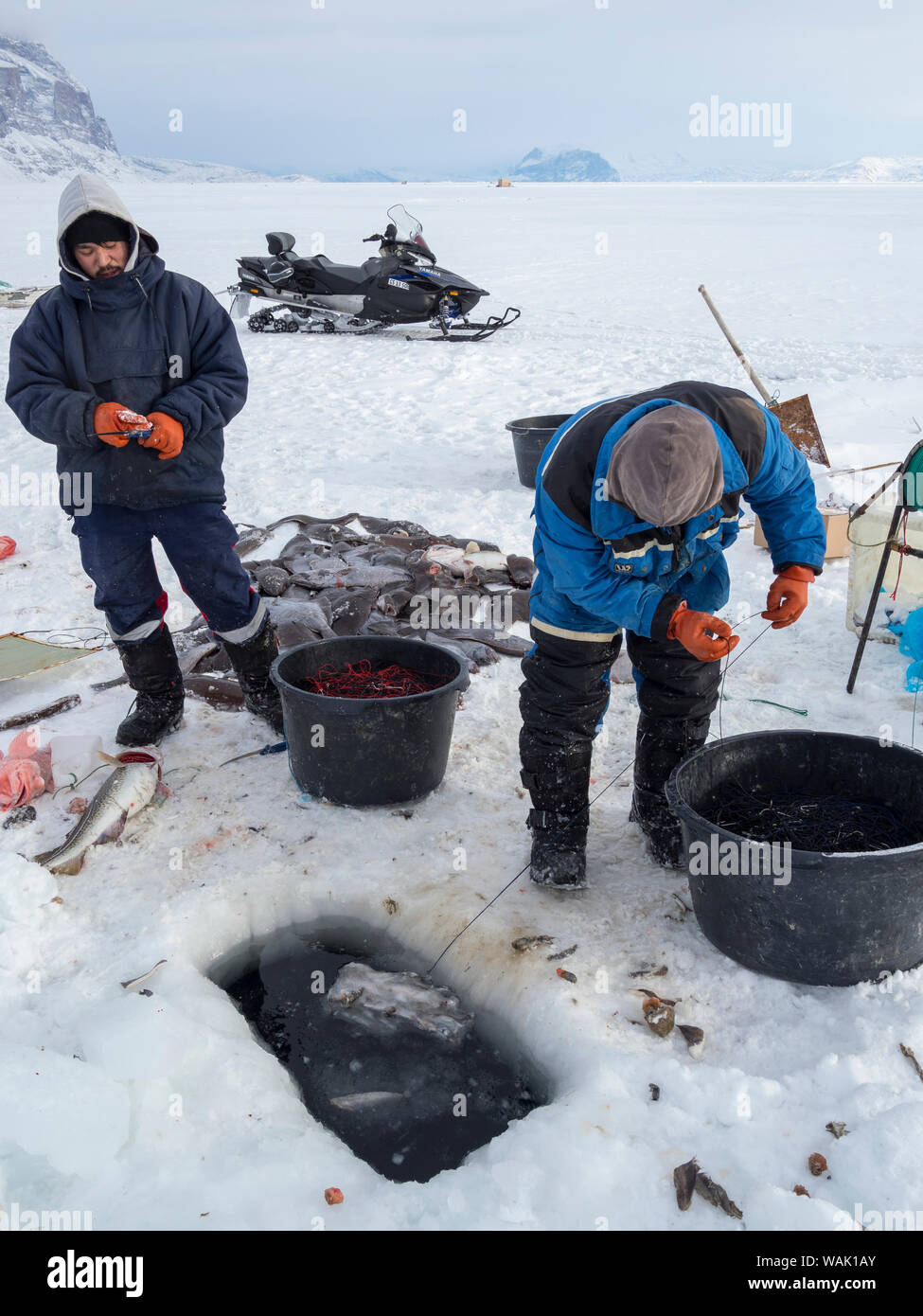 Les pêcheurs de l'Uummannaq au Groenland, système Fjord. Les fjords sont gelés en hiver, les pêcheurs utilisent des traîneaux à conduire à des trous dans la glace. Ils lignes inférieures avec appât jusqu'à 1000 mètres. (Usage éditorial uniquement) Banque D'Images