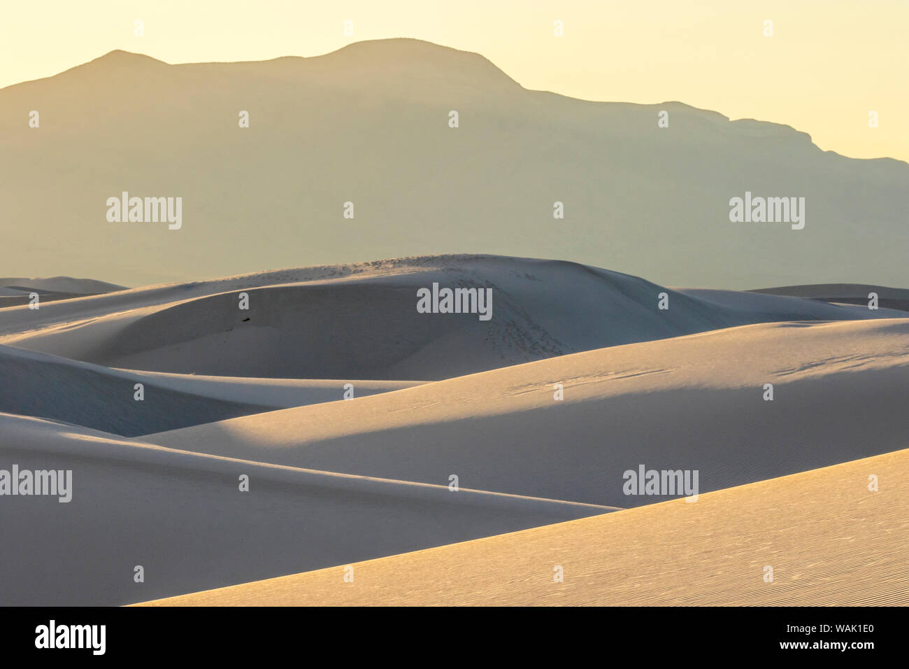 USA, Nouveau Mexique, White Sands National Park. Les patrons des dunes de sable. En tant que crédit : Cathy & Gordon Illg / Jaynes Gallery / DanitaDelimont.com Banque D'Images