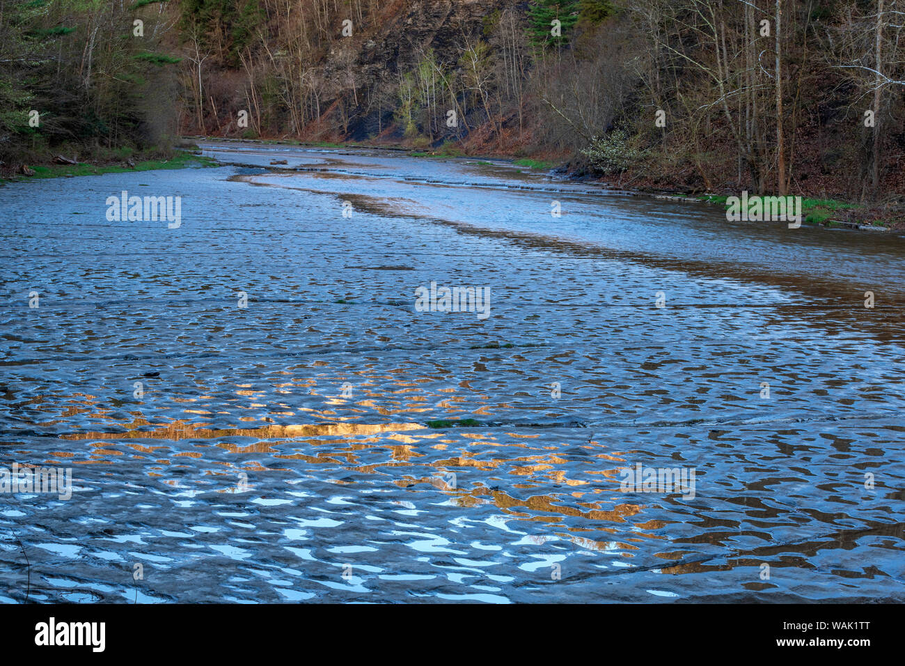 USA, New York, à Watkins Glen. Forêt et cours d'eau pittoresque. En tant que crédit : Jay O'Brien / Jaynes Gallery / DanitaDelimont.com Banque D'Images