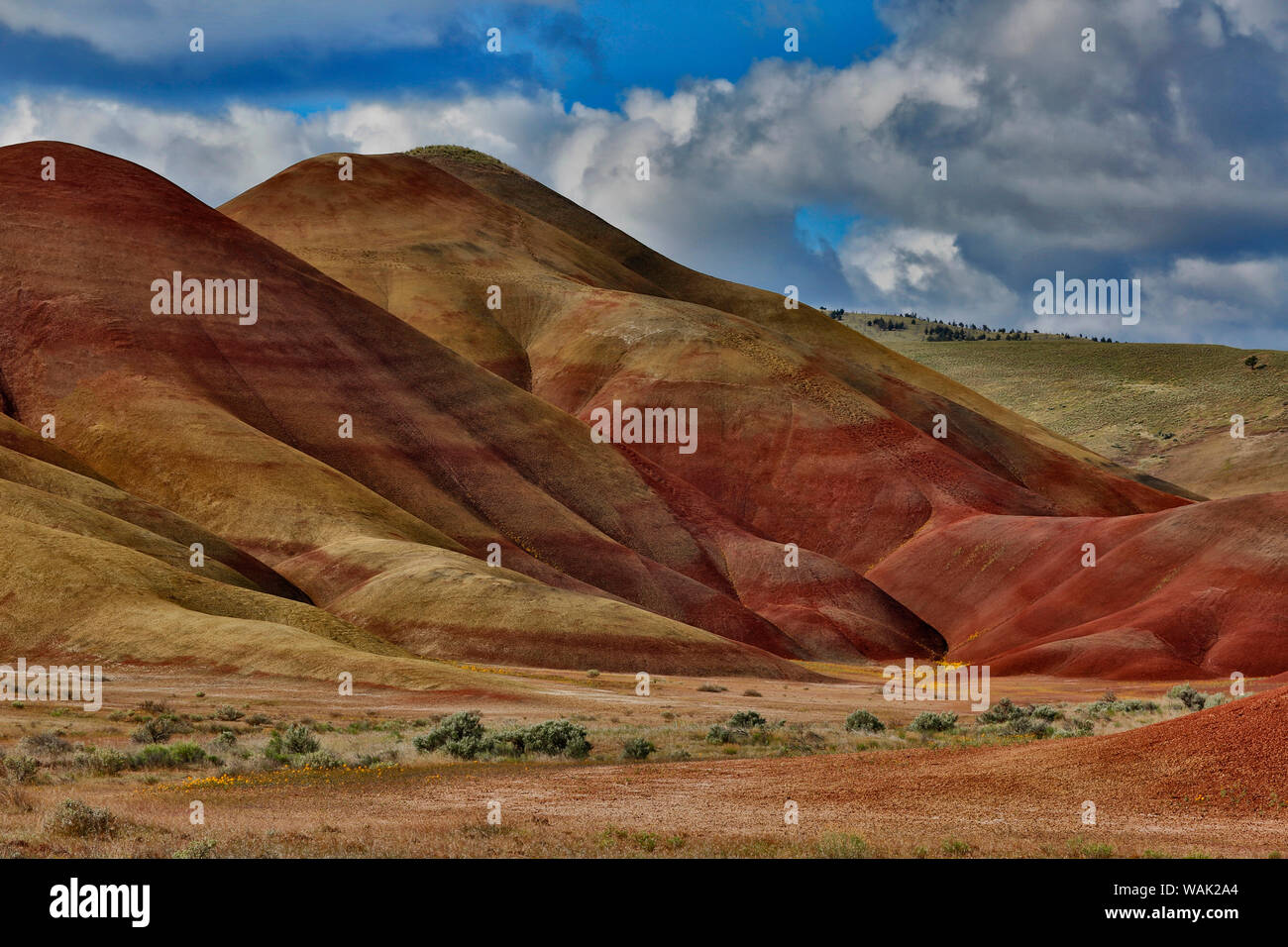 USA, New York, John Day Fossil jumeaux National Monument. Paysage de collines peintes. En tant que crédit : Jean Carter / Jaynes Gallery / DanitaDelimont.com Banque D'Images