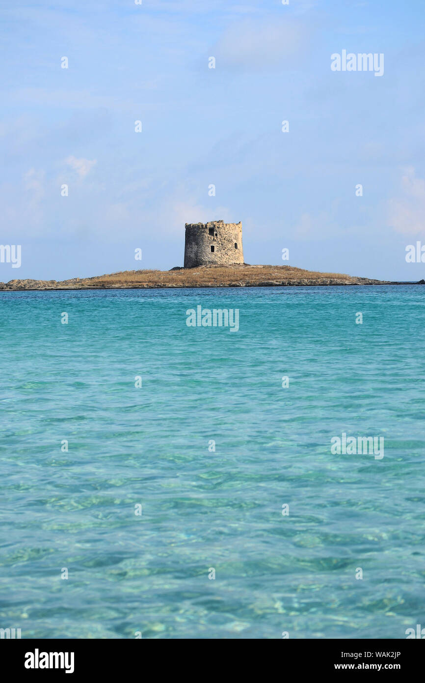 Torre della Pelosa, situé sur un îlot entre l'Isola Piana et Capo Falcone dans le nord de la Sardaigne Banque D'Images