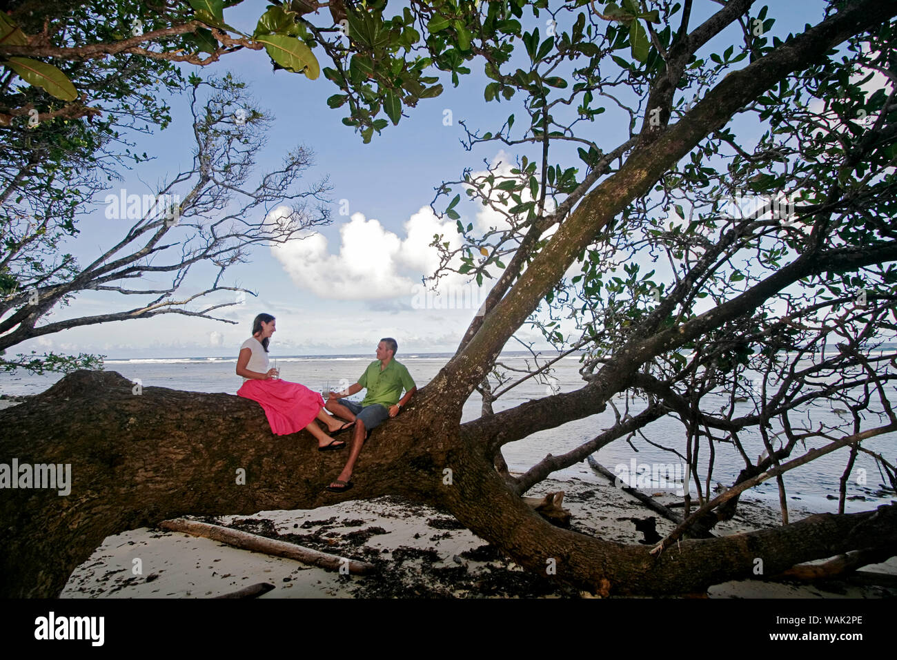 Kosrae Micronésie (EFM). Jeune couple sur branche horizontale d'un grand arbre au bord de l'eau. (Usage éditorial uniquement) Banque D'Images