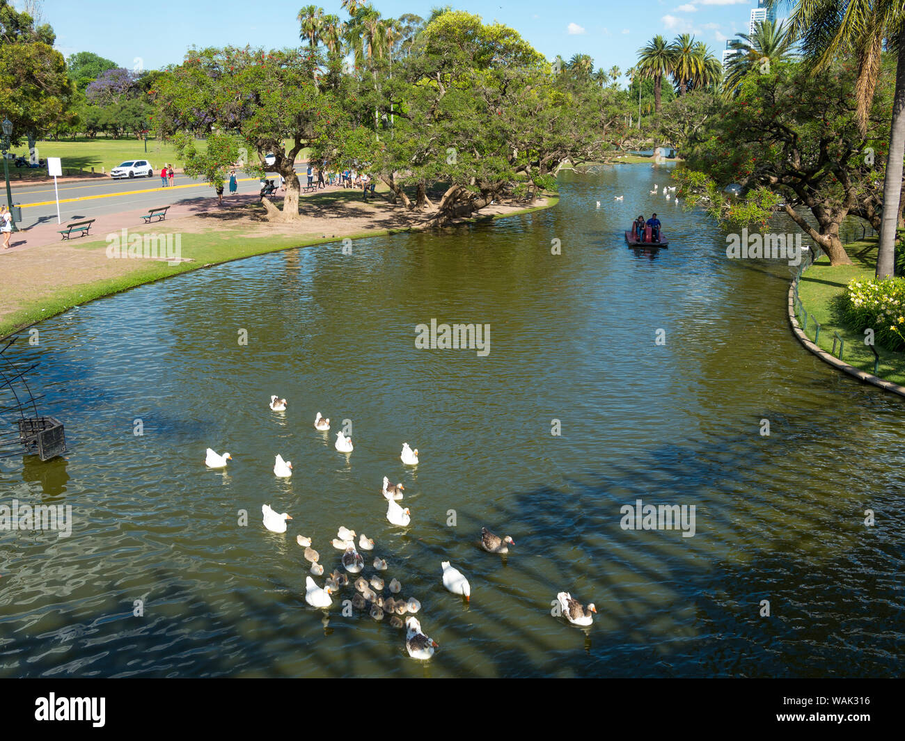 Parc bois de Palermo Palermo, Buenos Aires, Argentine. Banque D'Images