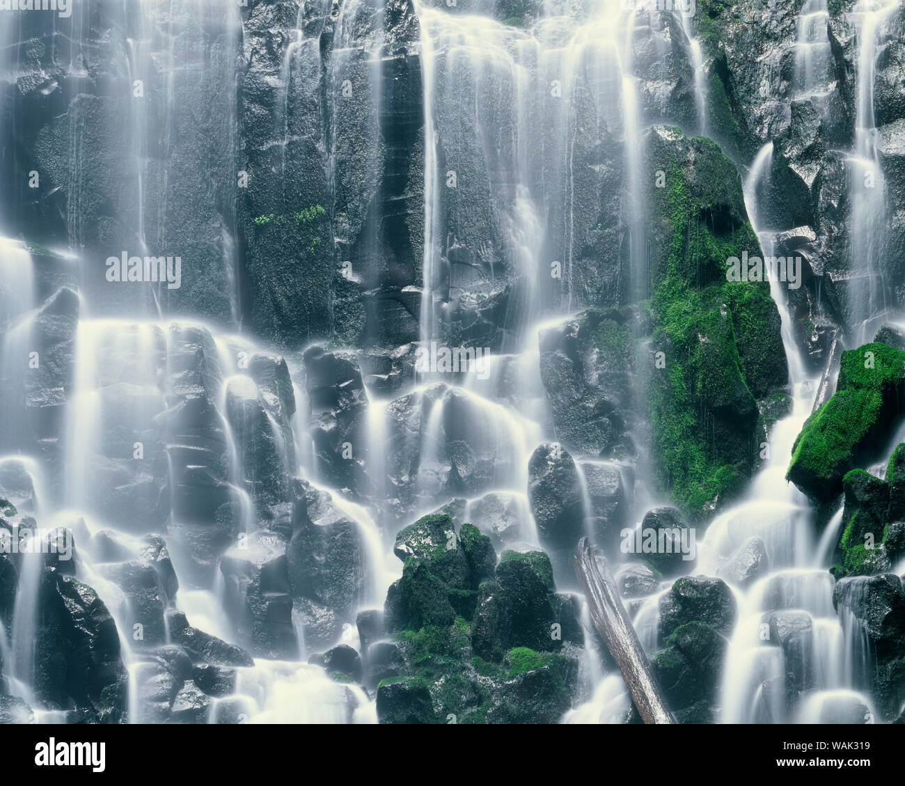USA (Oregon), Mount Hood National Forest. Mount Hood Wilderness, Ramona Falls est formé par un petit ruisseau Tumbling sur une falaise de basalte columnaire moussus. Banque D'Images
