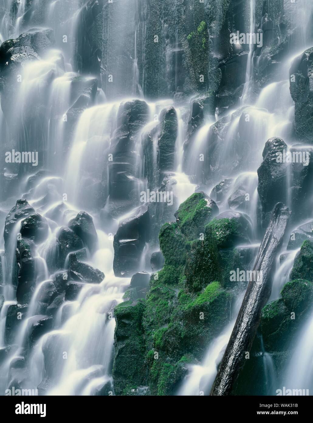 USA (Oregon), Mount Hood National Forest. Mount Hood Wilderness, Ramona Falls est formé par un petit ruisseau Tumbling sur une falaise de basalte columnaire moussus. Banque D'Images
