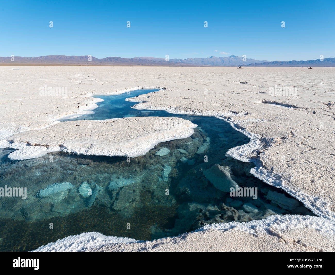 Ojos del Salar, étangs d'eaux souterraines et la surface du Salar. Paysage sur la saline Salar Salinas Grandes dans l'Altiplano, de l'Argentine. (Usage éditorial uniquement) Banque D'Images