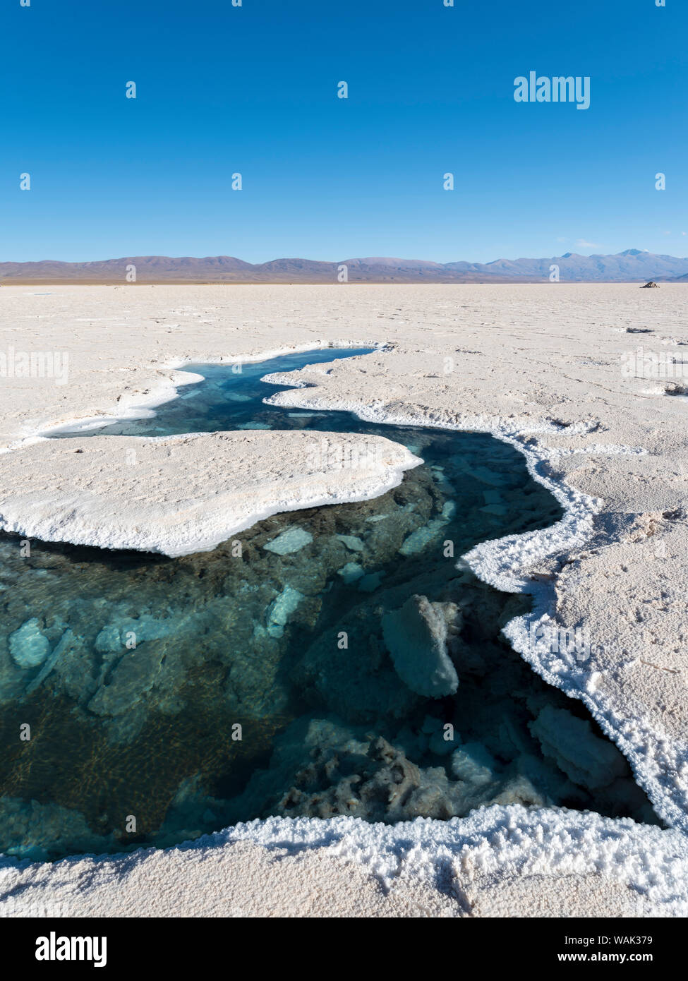 Ojos del Salar, étangs d'eaux souterraines et la surface du Salar. Paysage sur la saline Salar Salinas Grandes dans l'Altiplano, de l'Argentine. (Usage éditorial uniquement) Banque D'Images