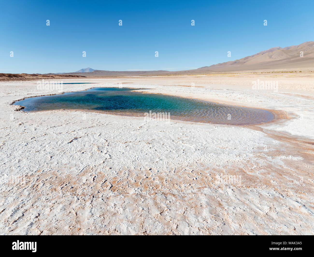 Ojos de Mar. L'Altiplano argentin le long de Routa 27 près de Tolar Grande et le Salar de Arizaro. L'Amérique du Sud, Argentine Banque D'Images