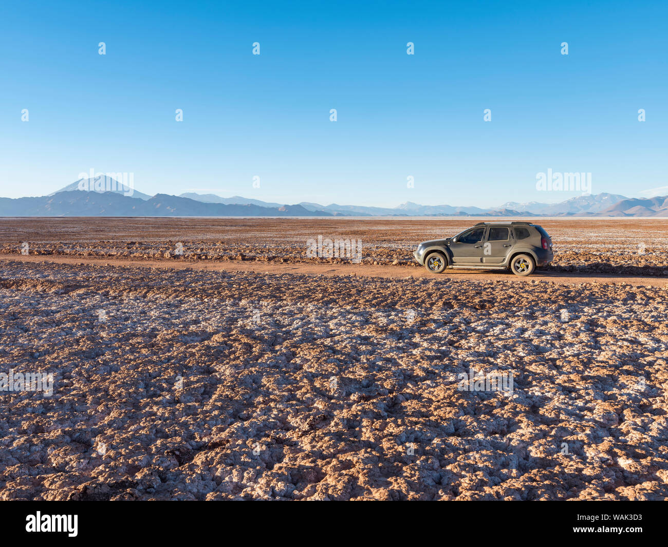 Salar de Arizaro, l'un des plus grands appartements du sel dans le monde. L'Altiplano, près du village de Tolar Grande, près de la frontière du Chili. L'Amérique du Sud, l'Argentine (usage éditorial uniquement) Banque D'Images