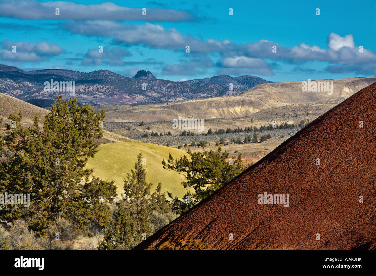 Vue de sentier de l'anse peint, peint Hills, John Day Fossil Lits, Mitchell, Oregon, USA. Banque D'Images