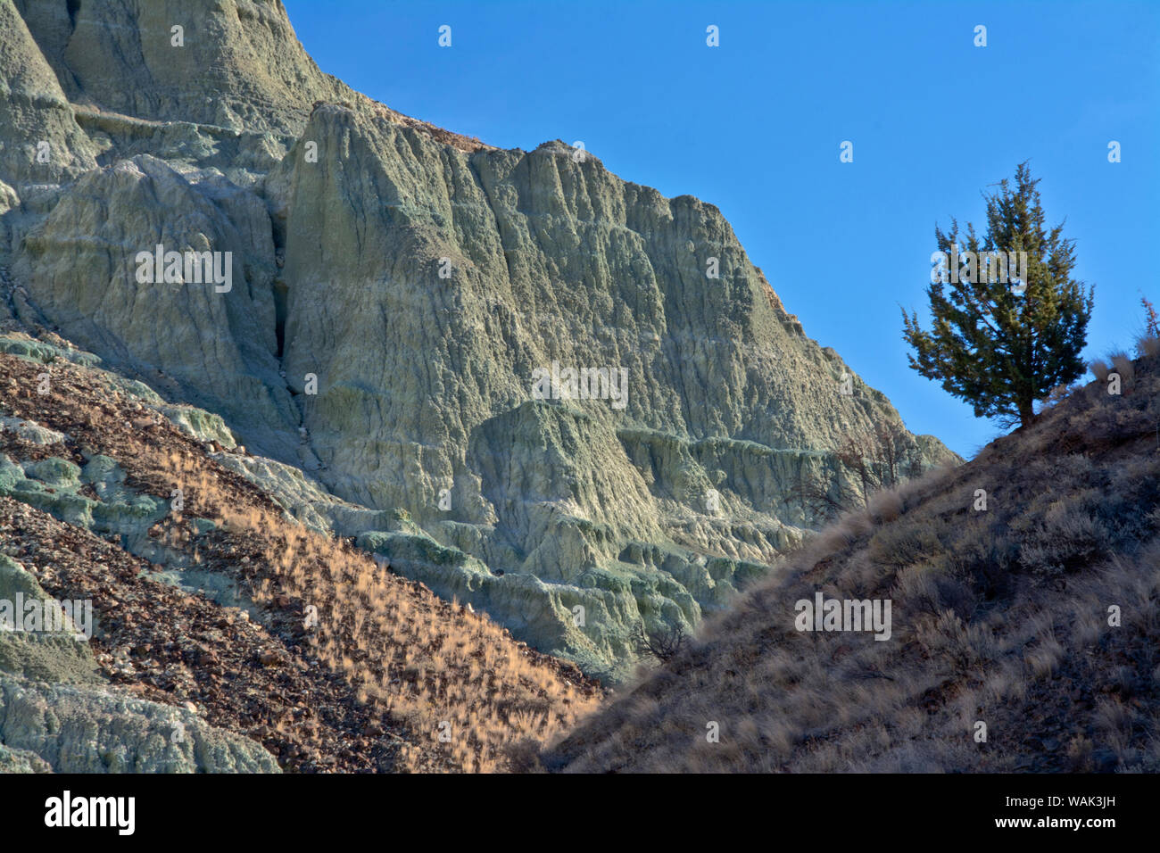 Bassin Bleu, John Day Fossil Lits, Oregon, USA. Banque D'Images