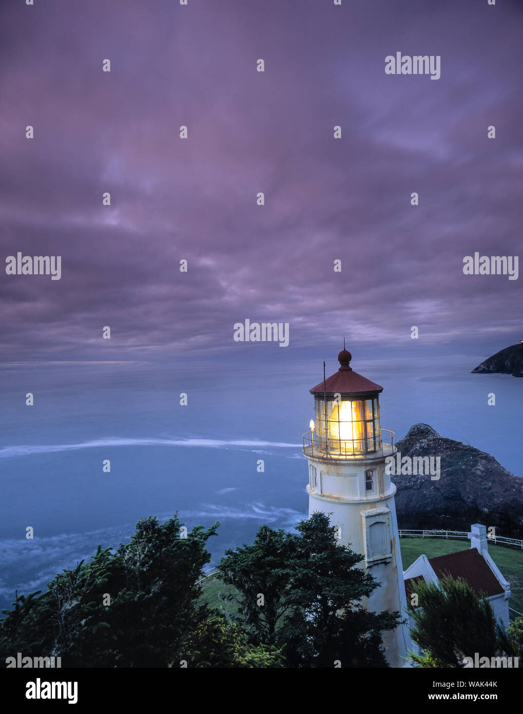 Phare de Heceta Head, Devil's Elbow State Park, Oregon Coast Banque D'Images