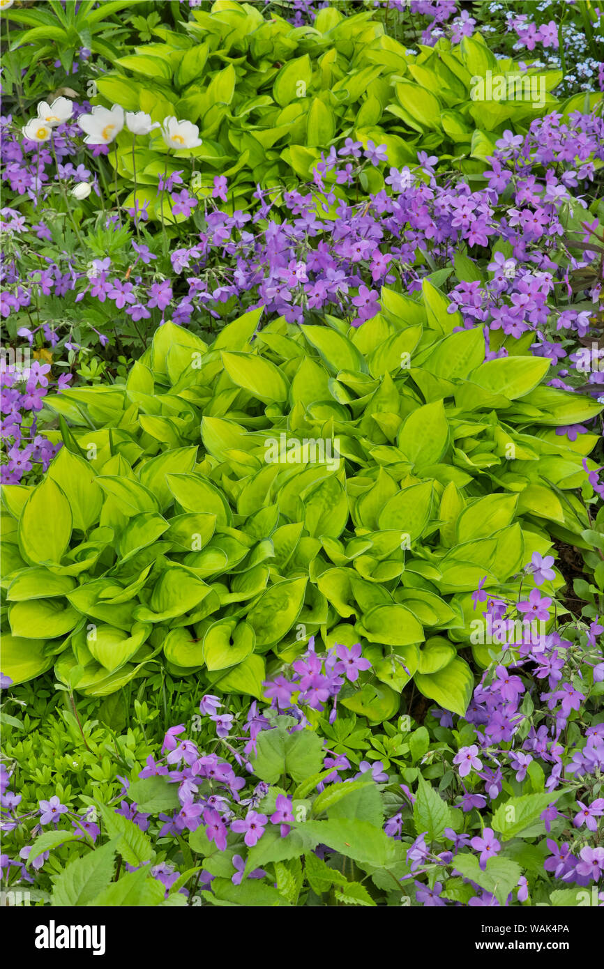 Couleurs du Printemps, Chanticleer Jardin, Wayne, New Jersey. Banque D'Images