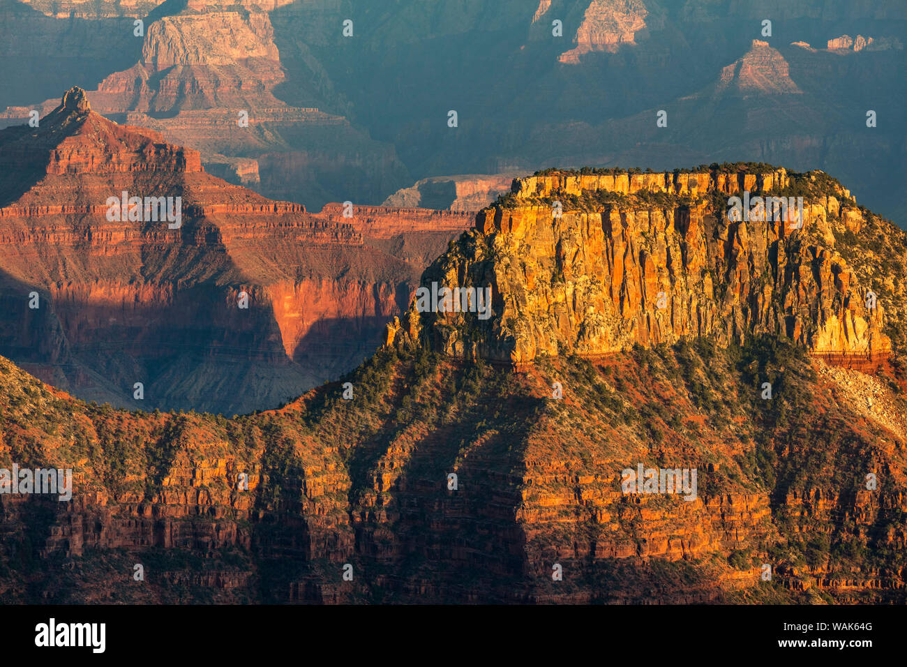 Vue de Bright Angel Point sur la rive nord du Parc National du Grand Canyon, Arizona, USA Banque D'Images