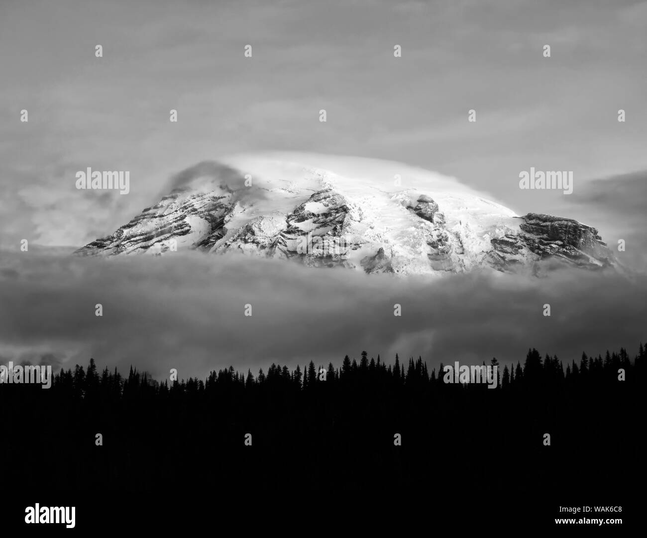 USA, Washington, Mt. Rainier National Park. Le noir et blanc des nuages sur Mt Rainier et la forêt d'ossature. En tant que crédit : Dennis Flaherty / Jaynes Gallery / DanitaDelimont.com Banque D'Images
