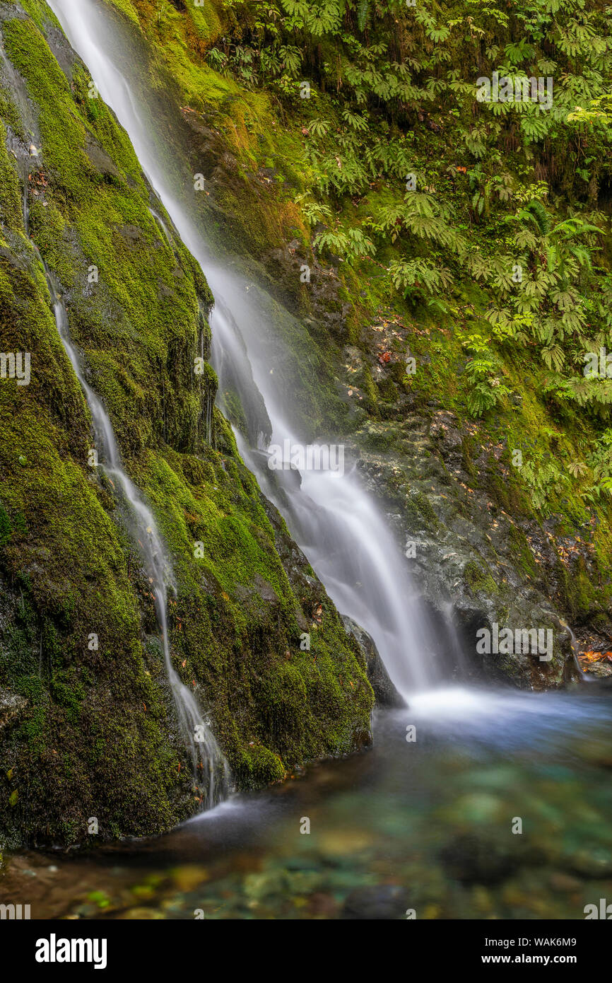 USA, l'État de Washington, l'Olympic National Park. Madison Falls et la piscine. En tant que crédit : Don Paulson / Jaynes Gallery / DanitaDelimont.com Banque D'Images