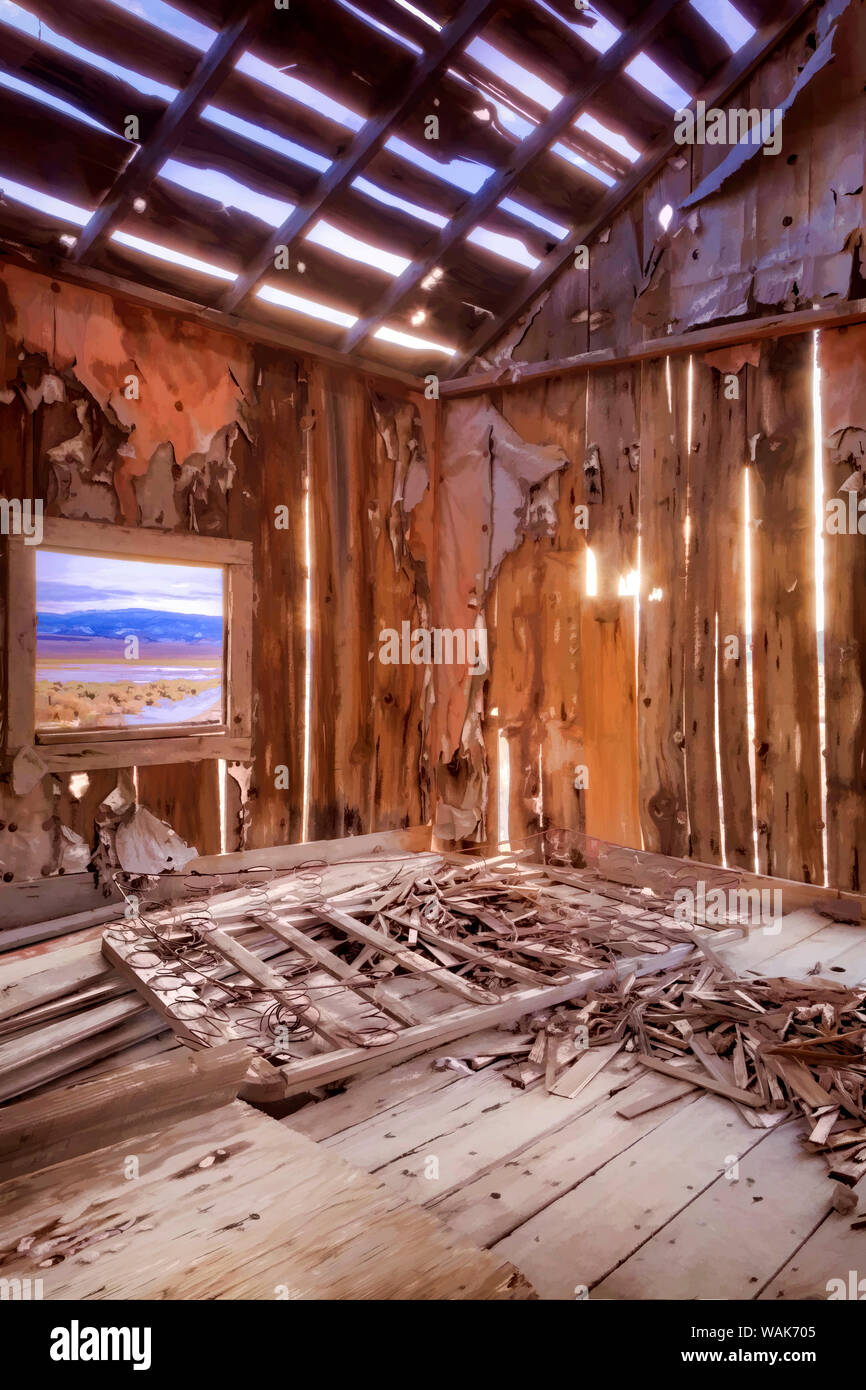 États-unis, Californie. Ruines de cowboy's cabin en Vallée d'Adobe. En tant que crédit : Dennis Flaherty / Jaynes Gallery / DanitaDelimont.com Banque D'Images