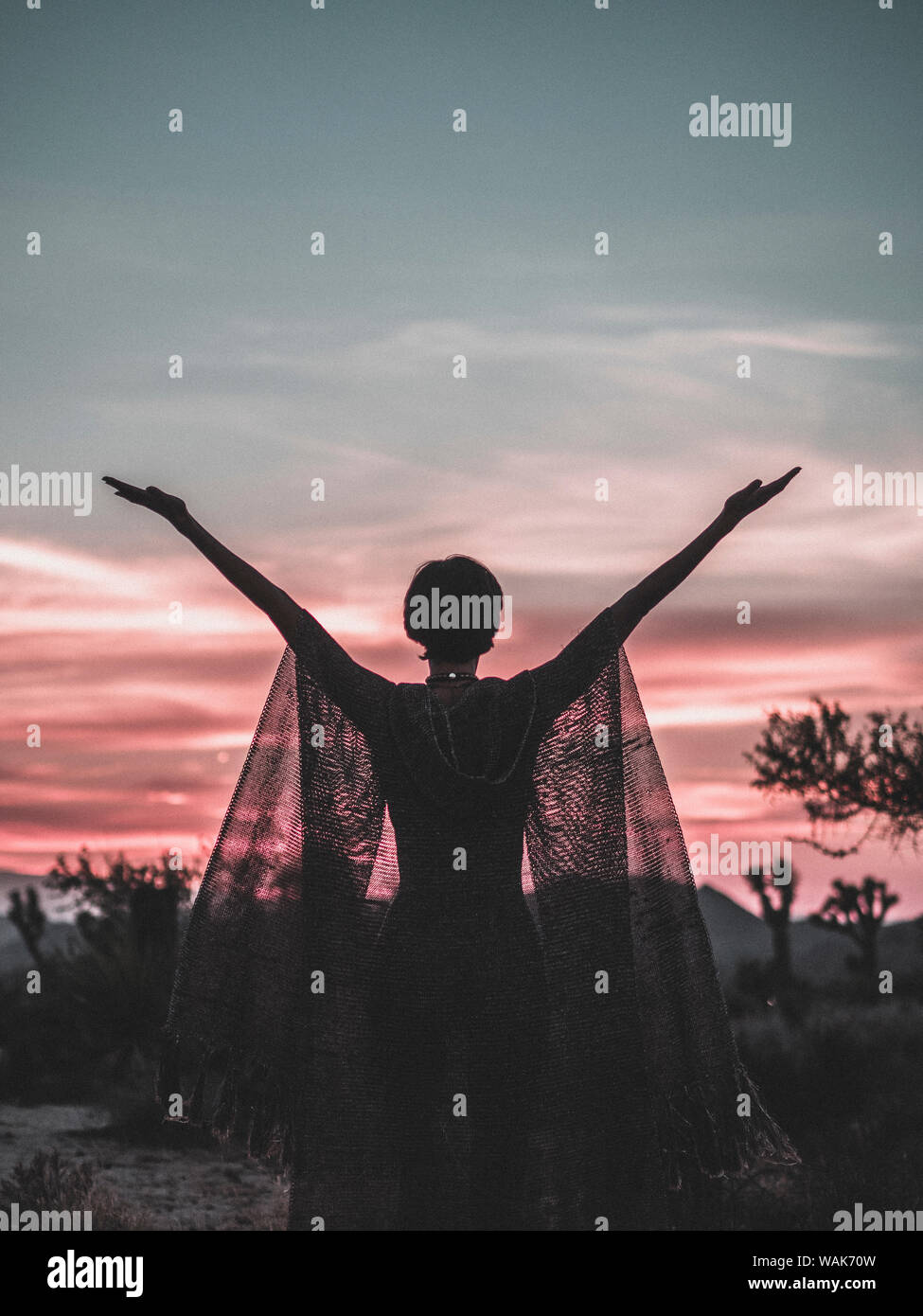 États-unis, Californie, Joshua Tree National Park. Silhouette femme soulevant les bras en avant le coucher du soleil du désert. Banque D'Images