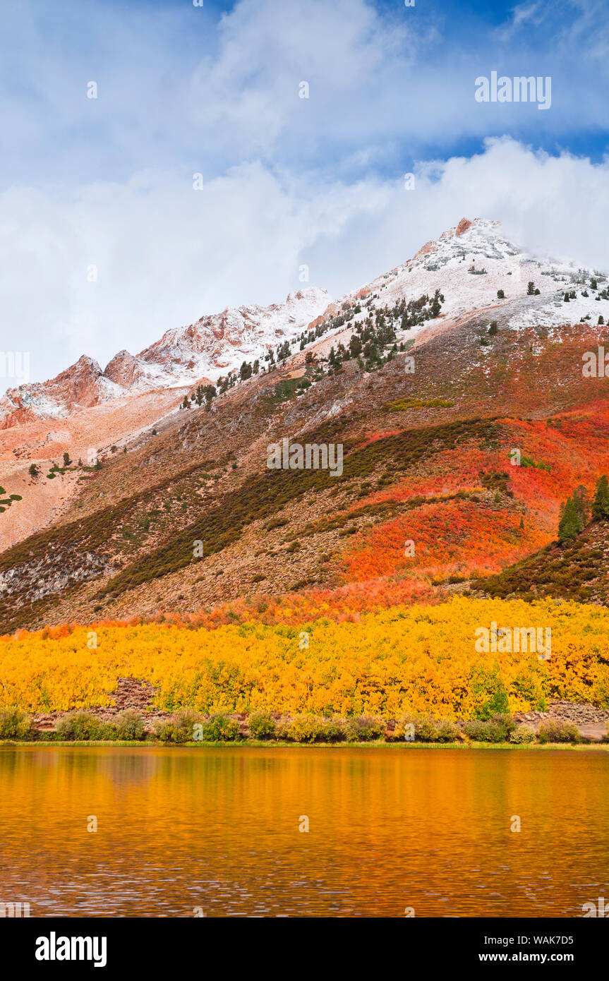 La couleur de l'automne et au début de la neige à North Lake, Inyo National Forest, la Sierra Nevada, en Californie, USA. Banque D'Images