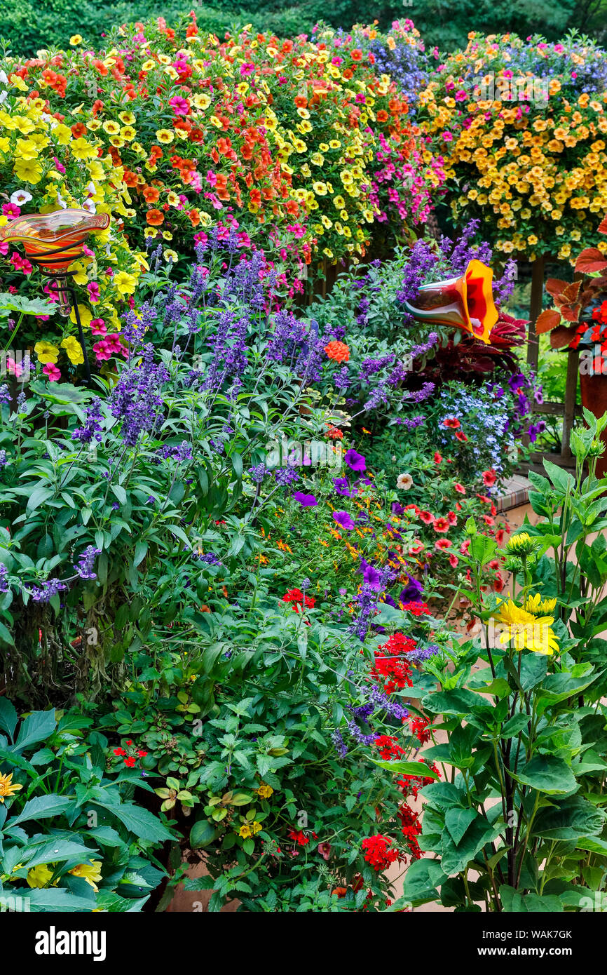 Jardin en fleurs, Sammamish, Washington State. Banque D'Images