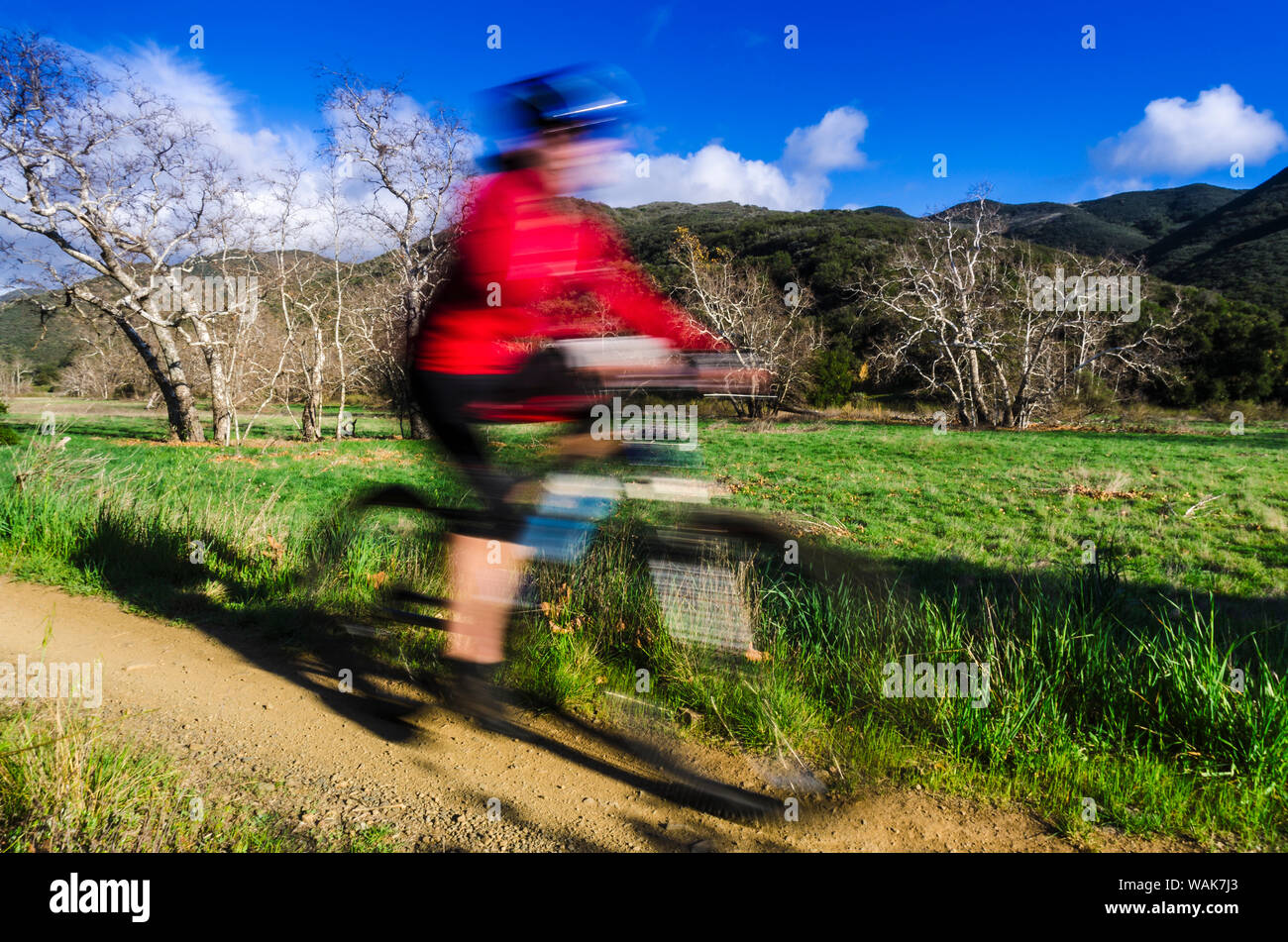 Vélo de montagne femelle Sycamore Canyon, Point Mugu State Park, Californie, USA. (MR) Banque D'Images