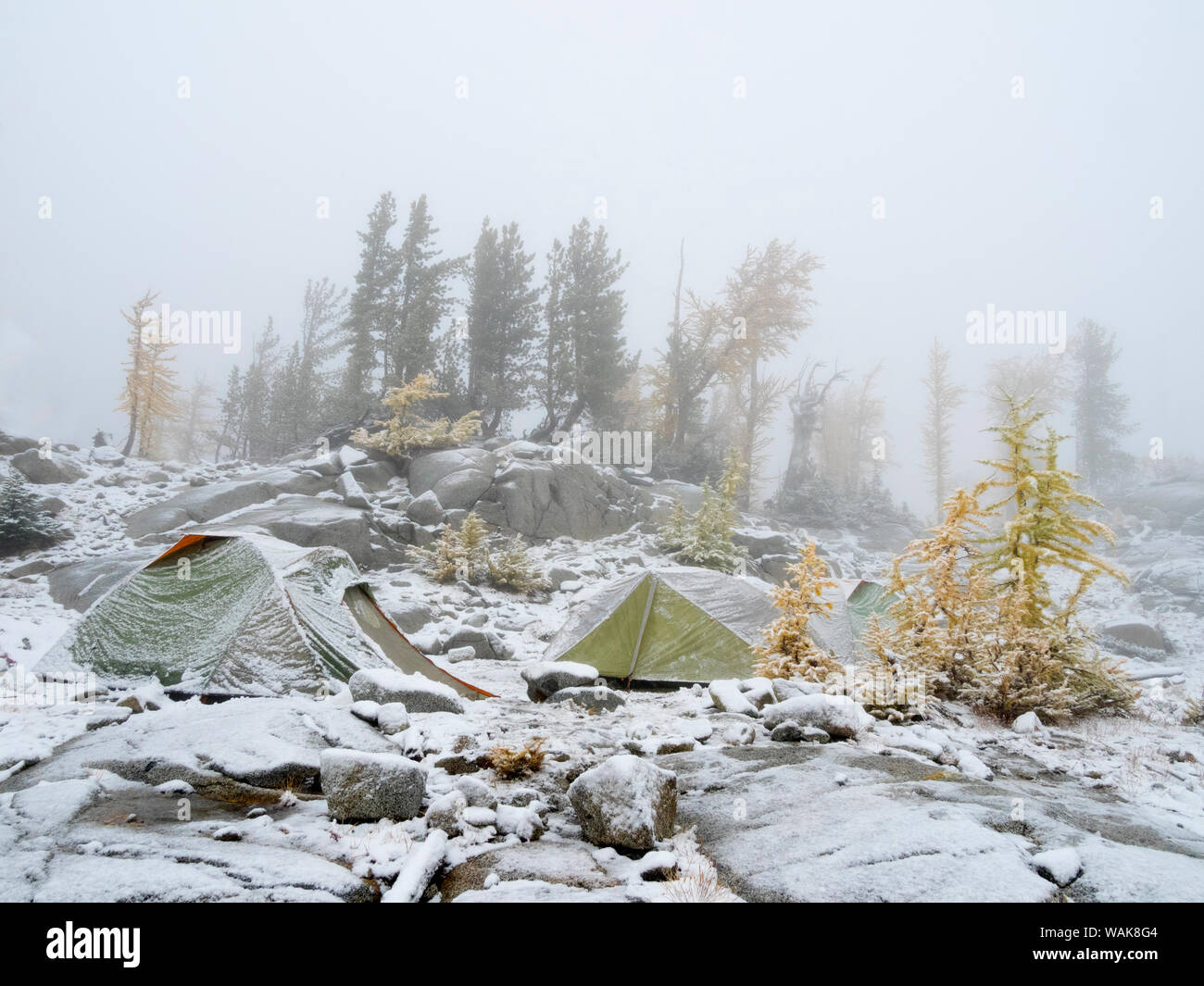 USA, l'État de Washington. Lacs de montagne Désert, Enchantement des lacs, Snowy camp site Banque D'Images