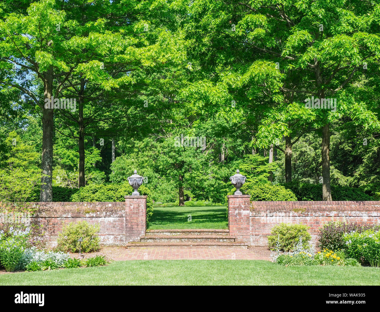 USA (Delaware). Mur en pierre et escalier menant à un champ d'arbres. Banque D'Images