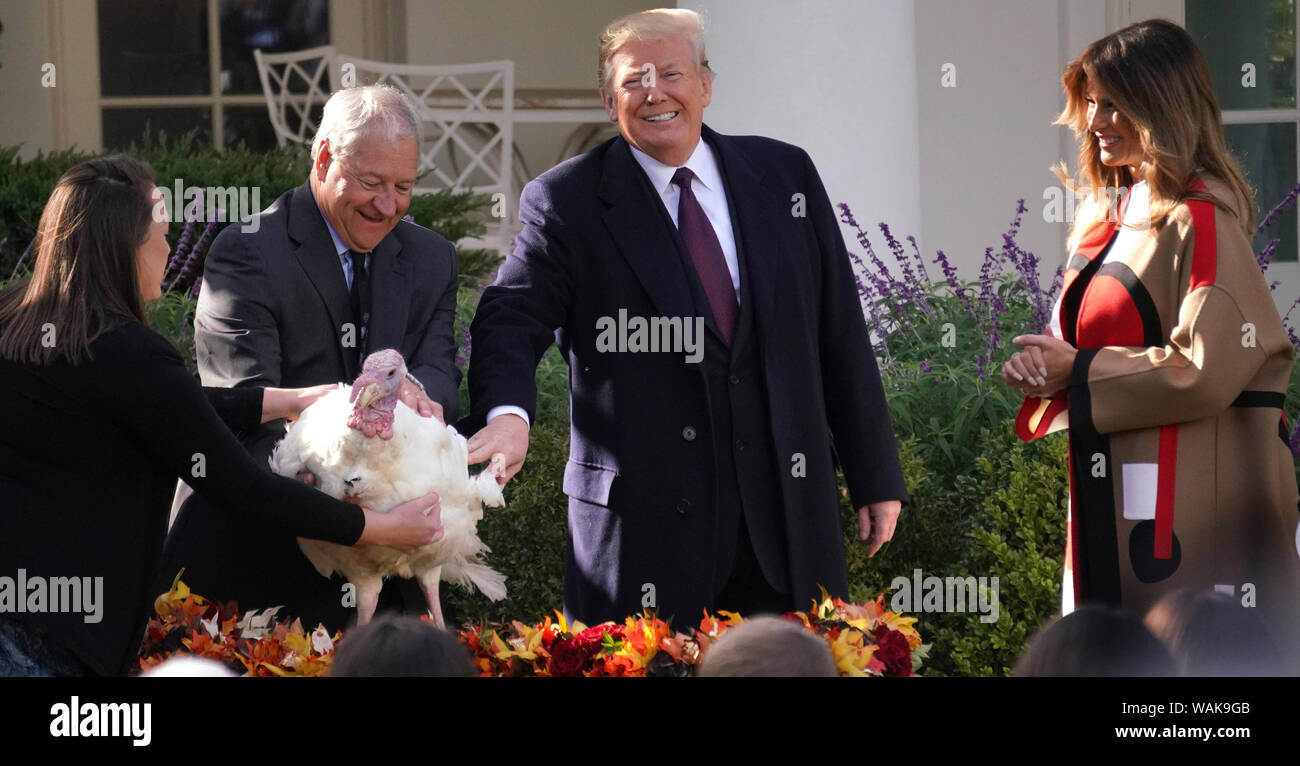 Le 20 novembre 2018. Washington, D.C., le Président Donald Trump réhabilitations une Turquie nommé 'Pois' dans la roseraie de la Maison Blanche. Première Dame Melania Trump est à côté du président. Banque D'Images