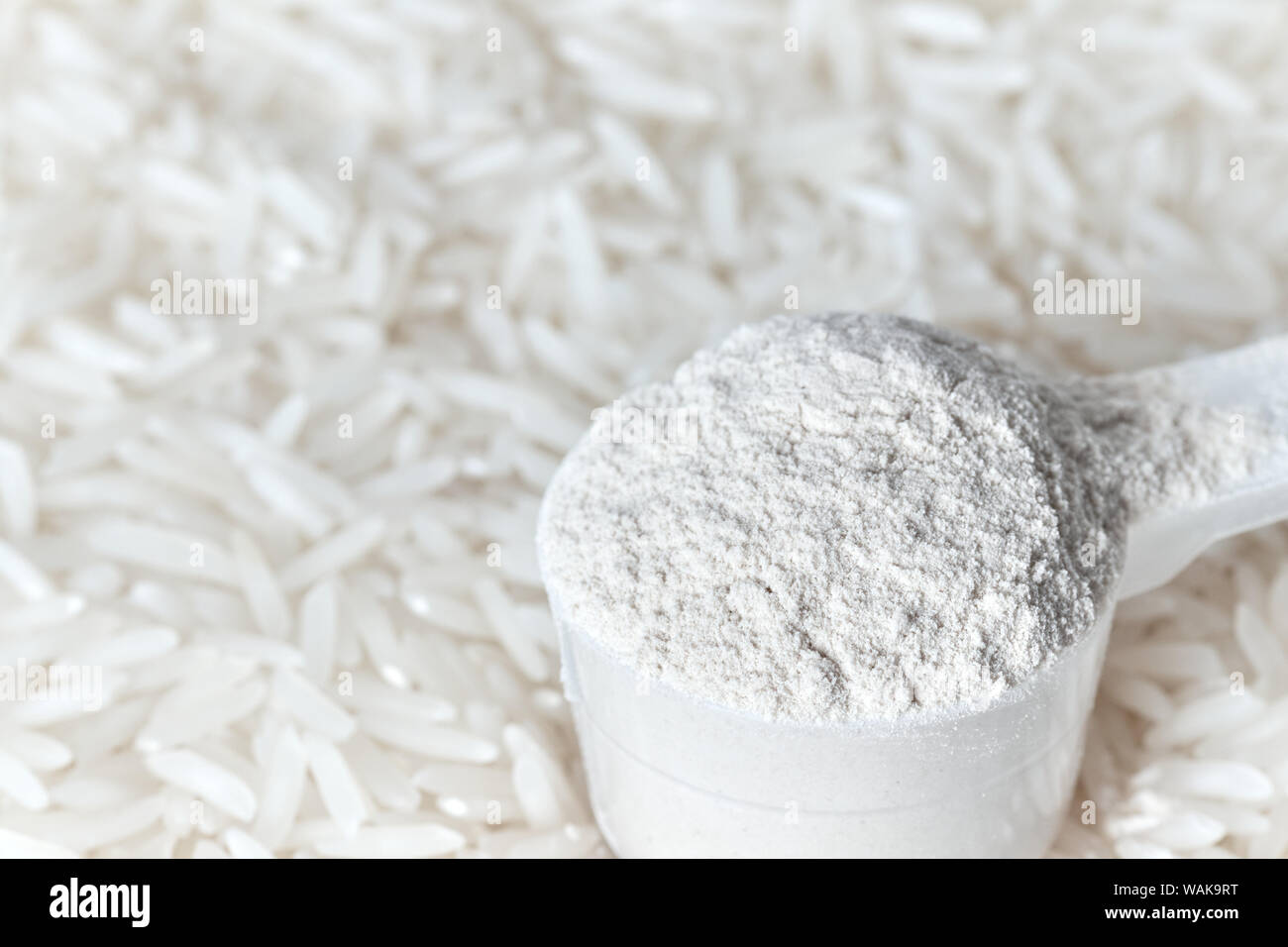 Poudre de protéine de riz dans une cuillère de mesure, faible profondeur de champ. Banque D'Images