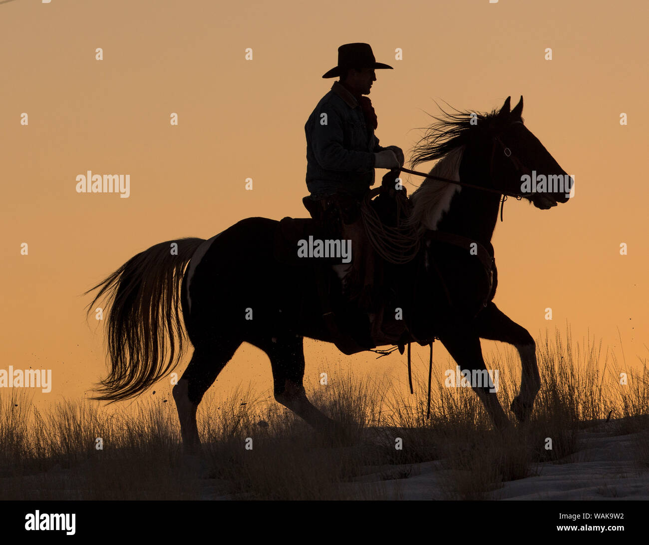 Entraînement de chevaux en hiver sur Hideout Ranch, Shell, Wyoming. Son cheval équitation Cowboy winters snow silhouetté au coucher du soleil. MR (MR) Banque D'Images