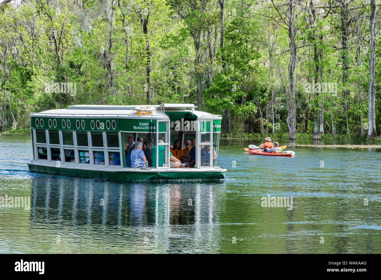 Excursion en bateau à fond de verre à Silver Springs State Park, Silver Springs, Floride, USA Banque D'Images