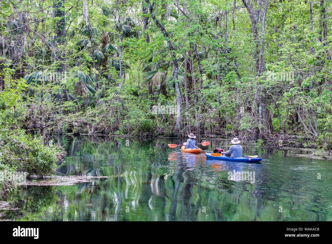 Couple du kayak sur la rivière d'argent, Silver Springs State Park, Silver Springs, Floride, USA Banque D'Images