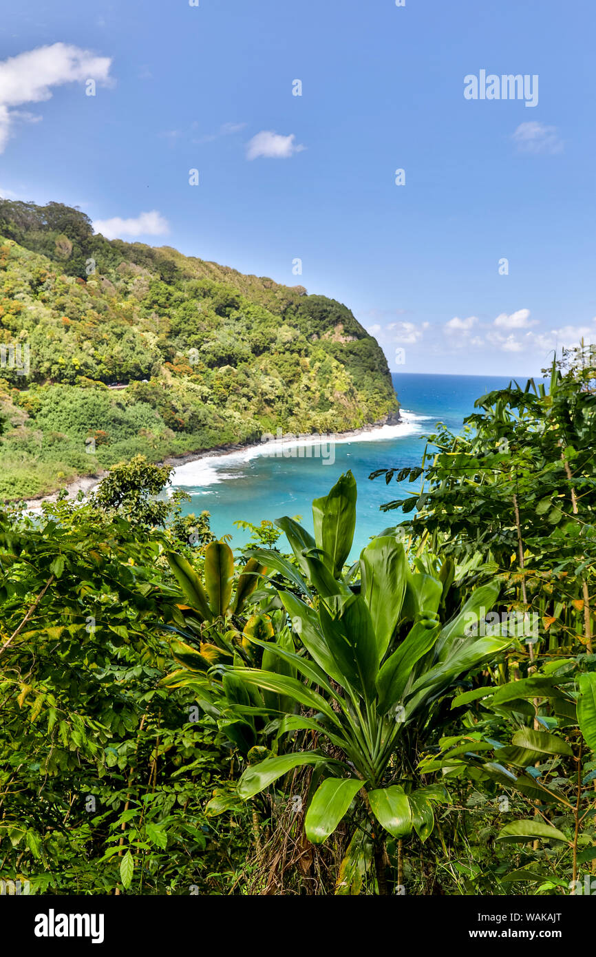 Vue sur la côte le long de la route de Hana, Maui, Hawaii Banque D'Images