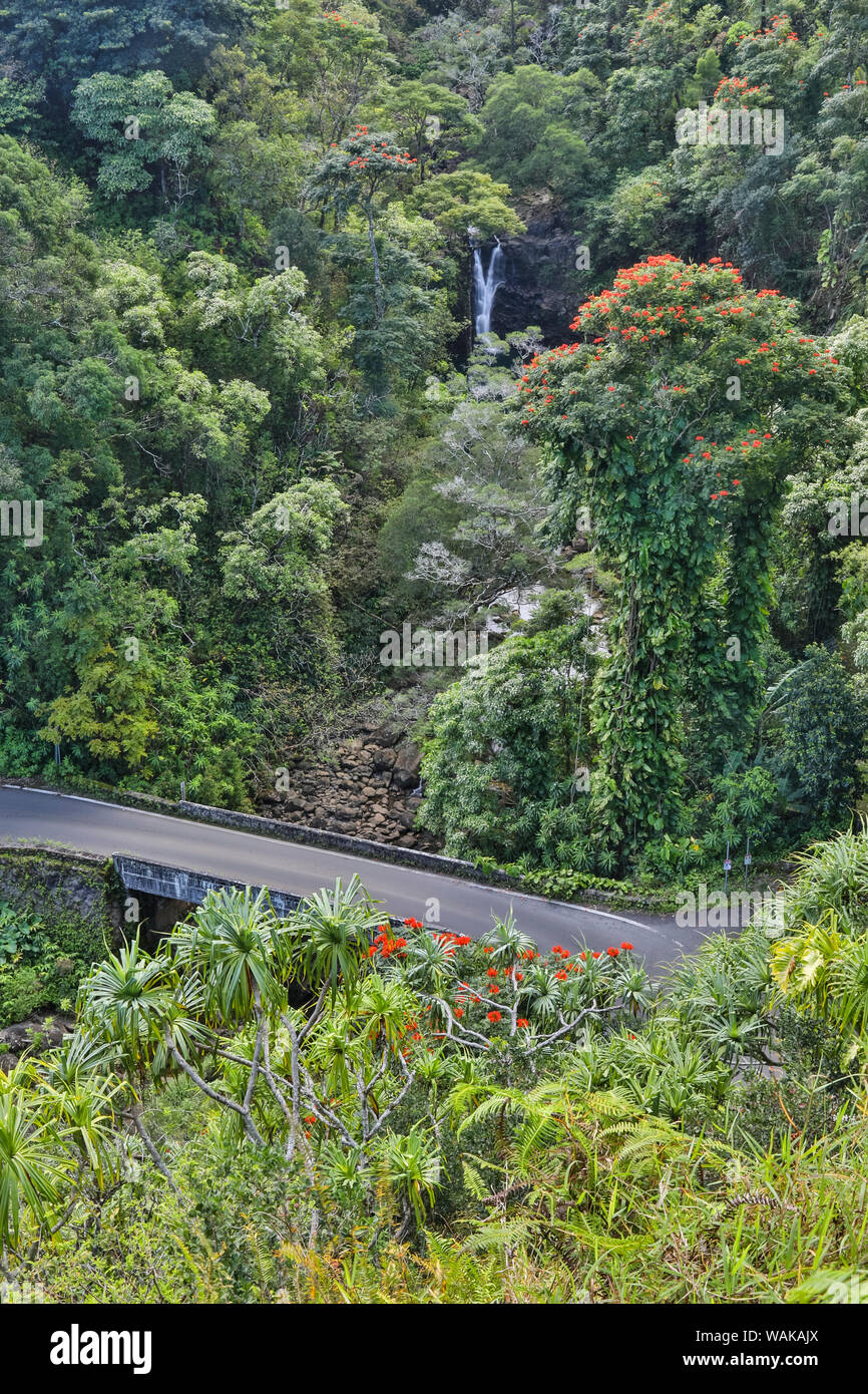 L'un des 59 ponts sur la route de Hana, Maui, Hawaii Banque D'Images