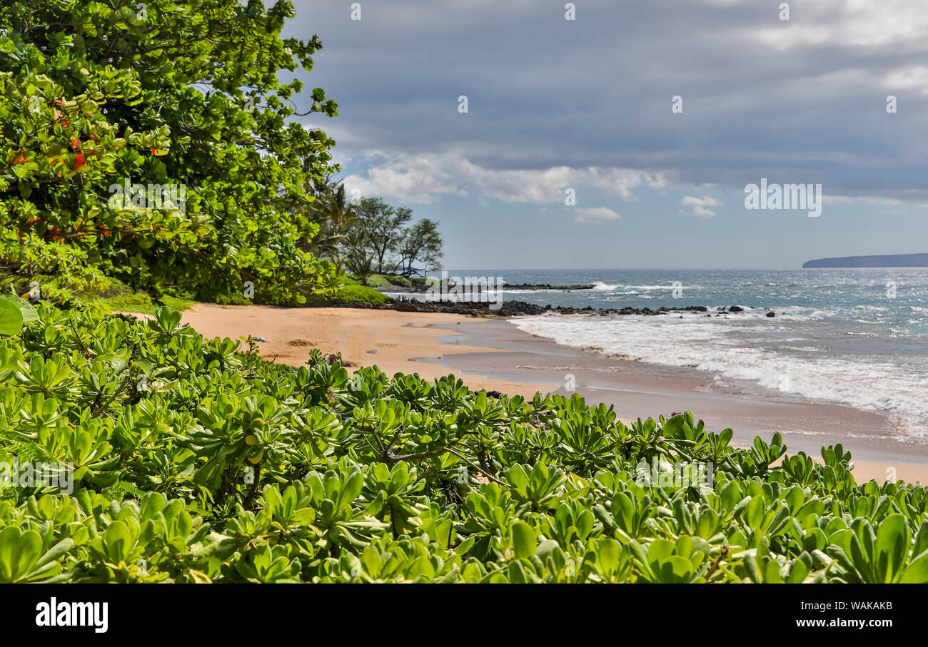 Plage de Polo Park, Maui, Hawaii Banque D'Images