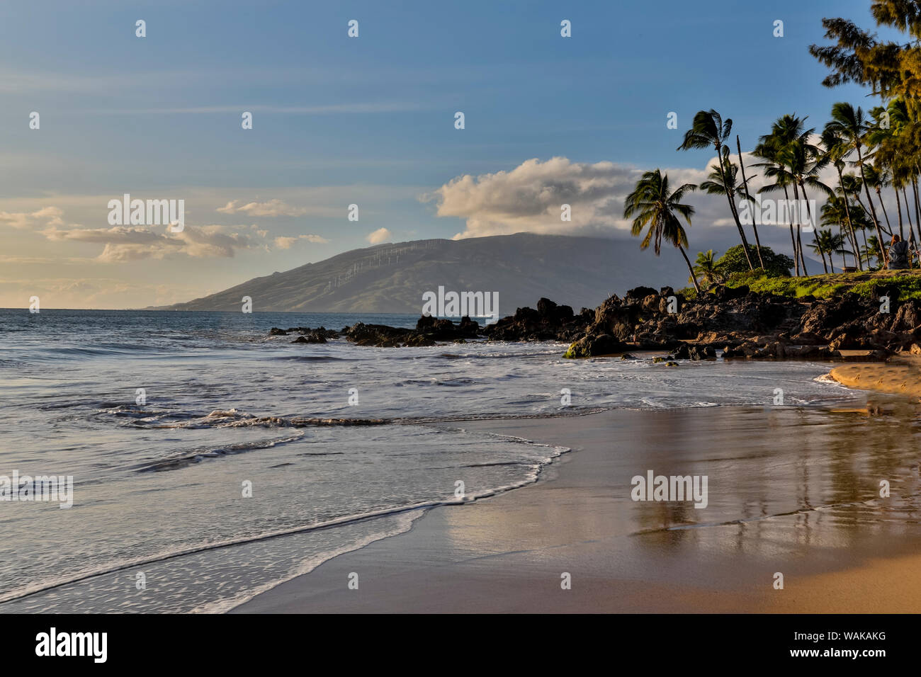 Lumière du soir le long de Kamaole Beach Park II Kihei, Maui, Hawaï Banque D'Images