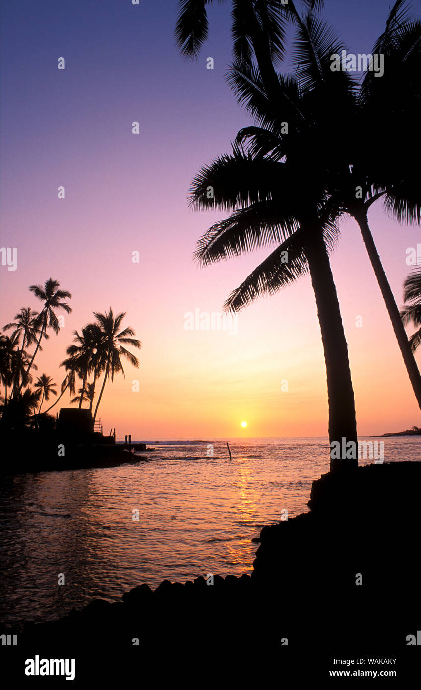 La silhouette du Palms et heiau au coucher du soleil, Pu'uhonua O Honaunau National Historic Park (Ville de Refuge), côte de Kona, Big Island, Hawaii, USA. Banque D'Images