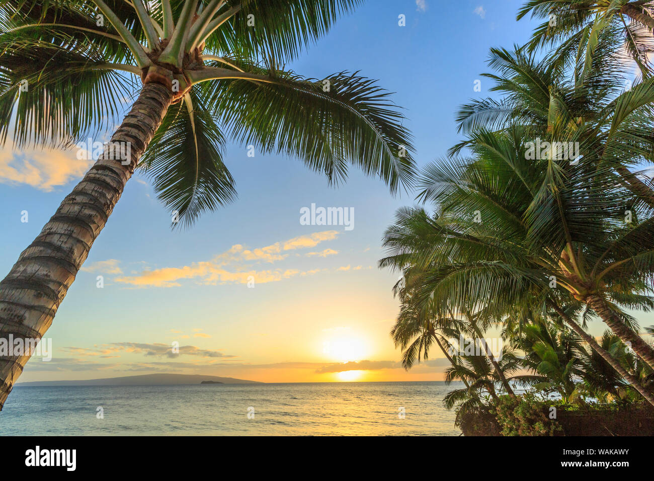 Coucher du soleil à plage près de Wailea, Maui, Hawaii, USA Banque D'Images