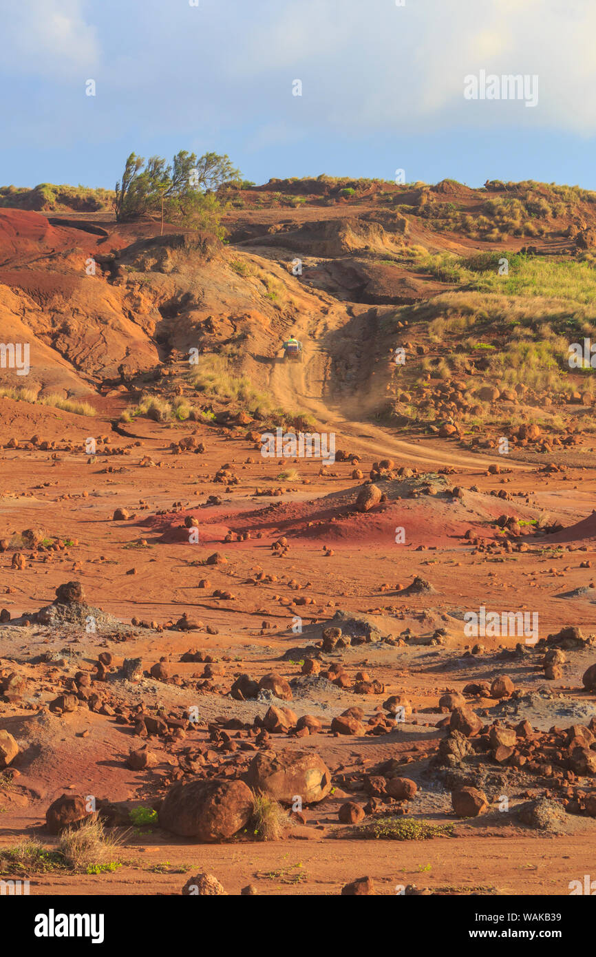 Kaehiakawaelo (Jardin des Dieux), un paysage martien de terre rouge, violet de lave et de formations rocheuses créées par de l'érosion. L'île de Lanai, Hawaii, USA Banque D'Images