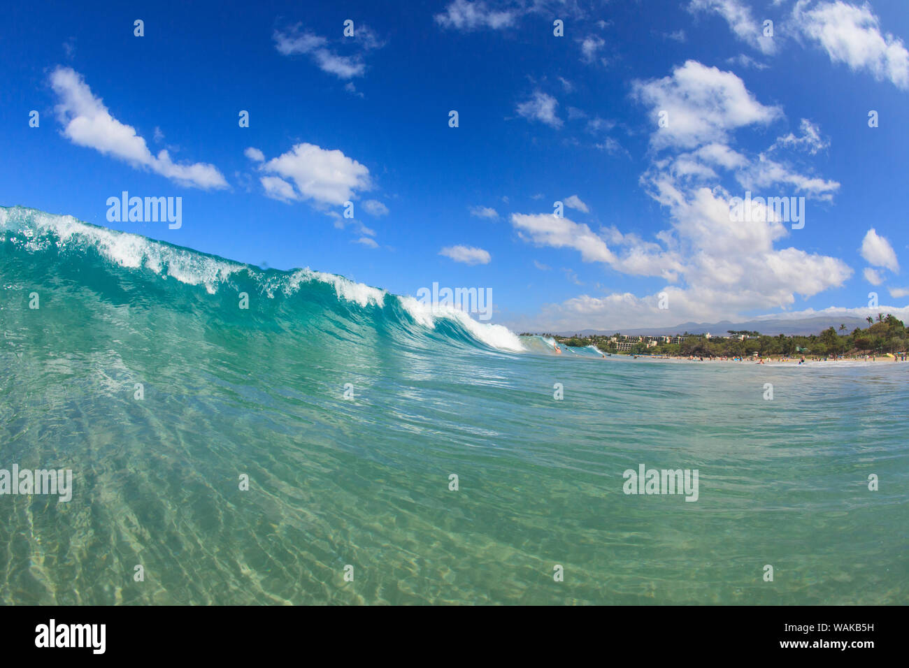 Vue fisheye de vague se casse à Hapuna Beach, Big Island, Hawaii Banque D'Images